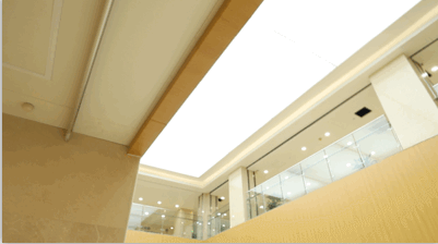新医院迁建工程进入冲刺阶段，30张动图带您“云体验”！