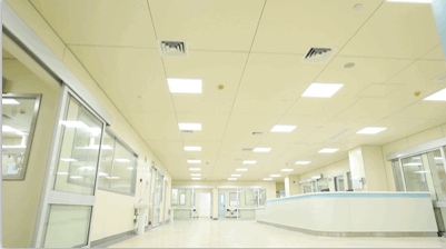 新医院迁建工程进入冲刺阶段，30张动图带您“云体验”！