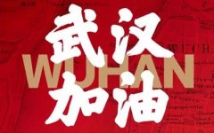 武汉是我第二故乡 家乡有难我义不容辞去守护