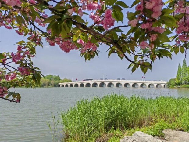 中医专家提示：夏季养生，有“心法”