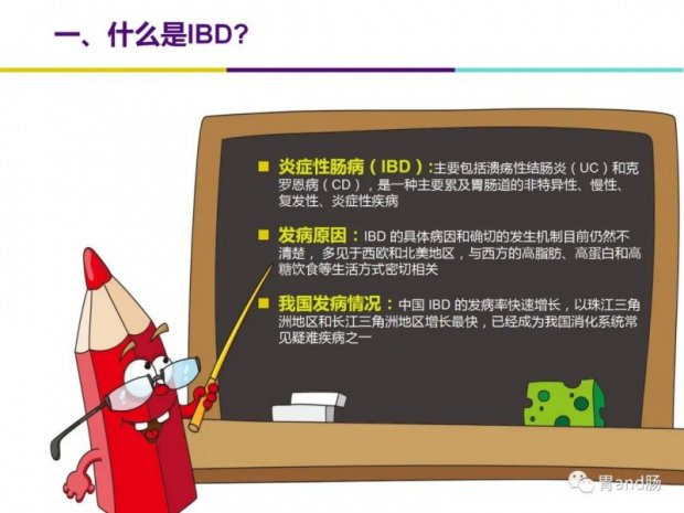 什么是炎症性肠病（IBD）？IBD的日“肠”饮“食”又有哪些？快来了解一下吧~